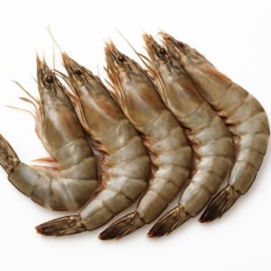 Large Prawns