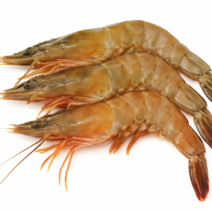 Extra-Large Jumbo Prawns