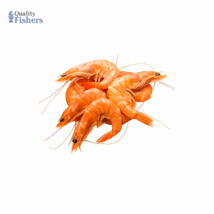 Medium Prawns