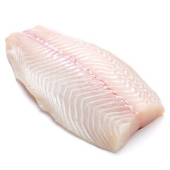 Pangasius Fish