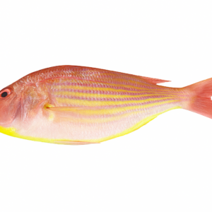Chakori Fish (Threadfin Bream)