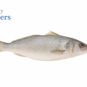 Mushka (Croaker Fish)